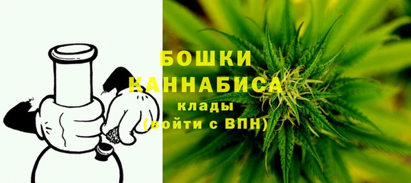 гидра Арсеньев