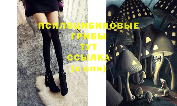 прущая мука Тайга