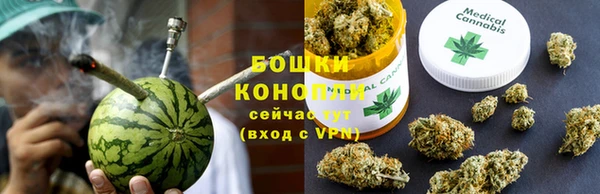гидра Арсеньев