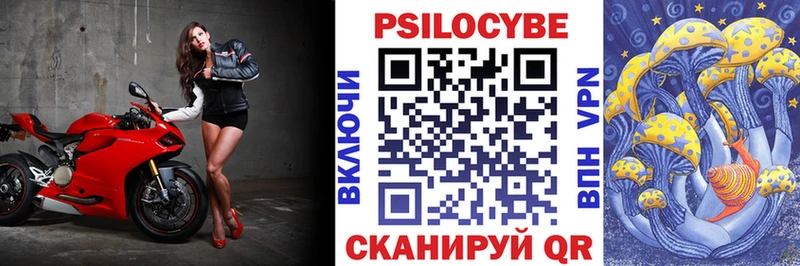 что такое наркотик  Чудово  blacksprut   Псилоцибиновые грибы Psilocybine cubensis 